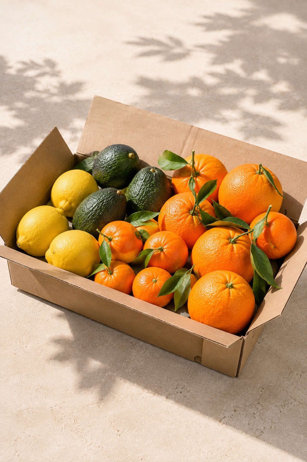 Mandarina + Limón + Aguacate