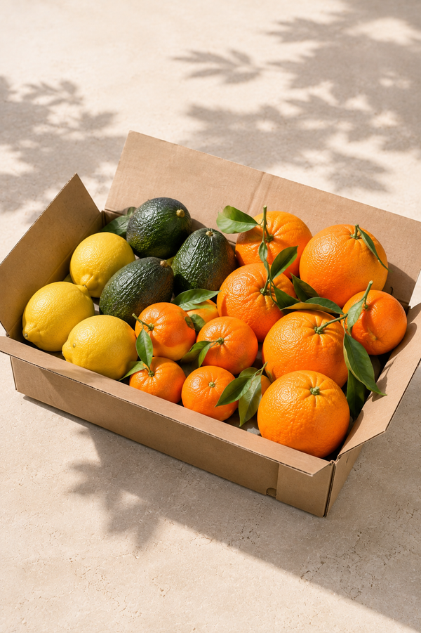 Mandarina + Limón + Aguacate